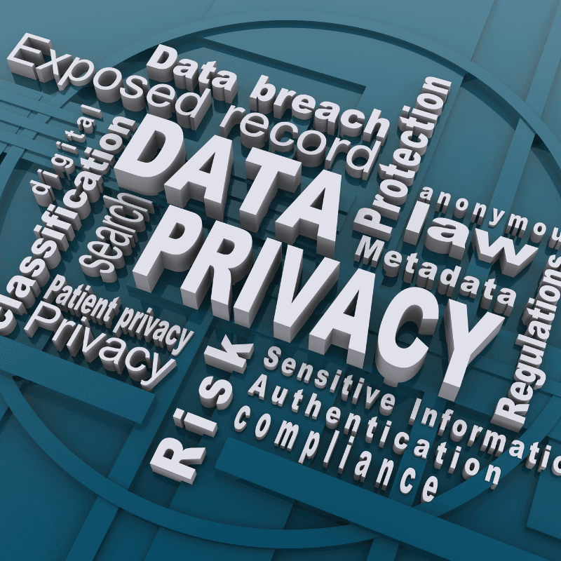 Data Privacy 2025